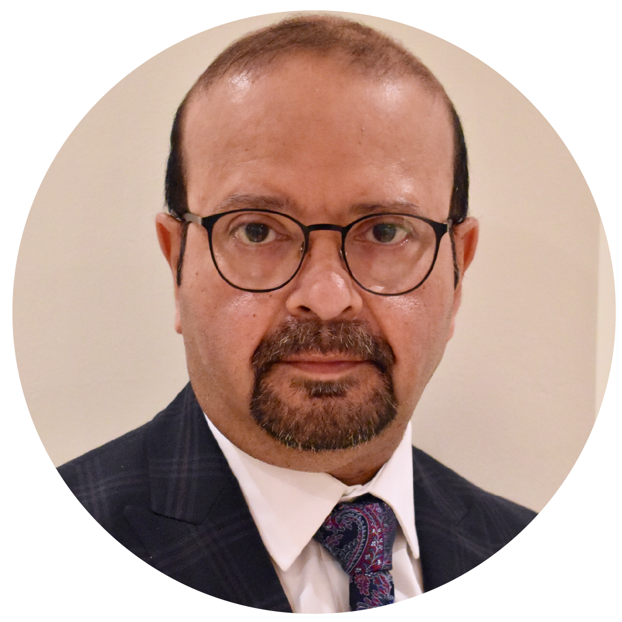 circle image of Ani Chakravarti, Regional Director for the West Midlands