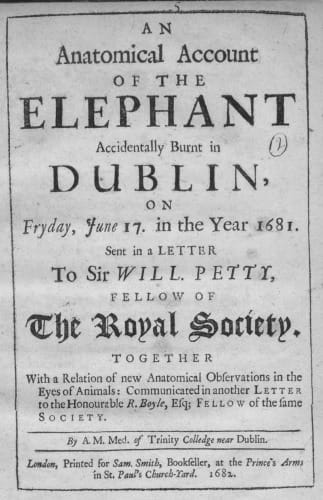 Elephant - Title page 1