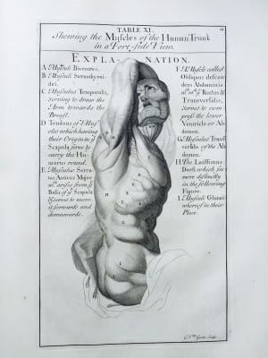 Genga Anatomy Improv'd