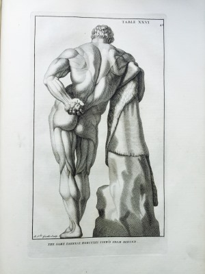 Genga Anatomy Improv'd