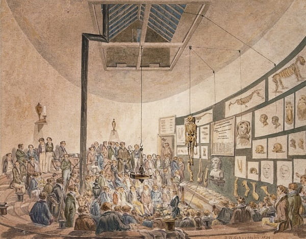 Watercolour scene of an anatomy lecture theatre, with students attending a lecture.