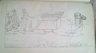 Larrey - dromedar ambulance for Egyptian campaign