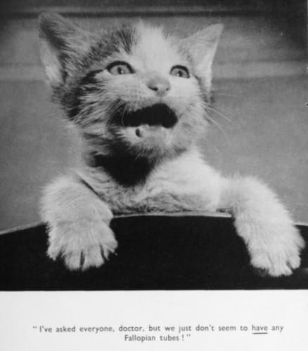 Ethicon: Fallopian Tubes