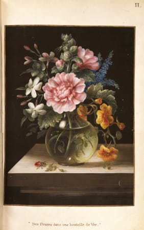 Hunter's floral watercolours II