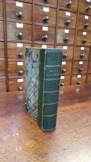 Gray's Anatomy 3: Gray's Anatomy 3rd Ed