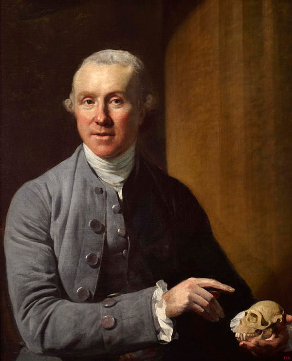 Colour painting of John Hunter, pointing at a skull and wearing a grey coat