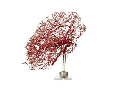 Corrosion cast of the blood vessels in the brain (RCSAC/170e part 1 and part 2), photograph by Michael Frank
