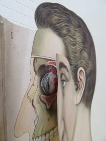 Under your skin 8: Household physician head