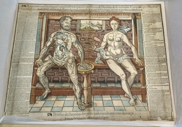 Under your skin 1: anatomie tres utile