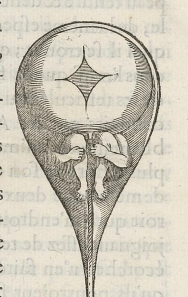 An engraving of a baby-like figure with a large-head in a teardrop-shaped 'sperm'